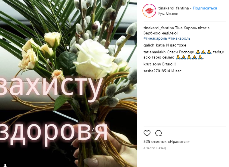 Вербное воскресенье 2018: украинские звезды поздравили страну с праздником (фото)