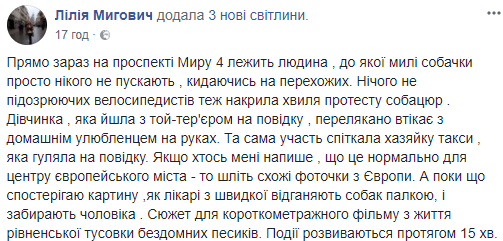 В центрі Рівного лікарі не могли допомогти чоловікові через розлючених бродячих собак
