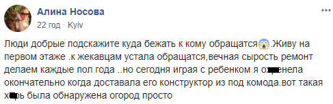 "Огород просто": в квартире киевлянки на стене от сырости выросли грибы (фото)