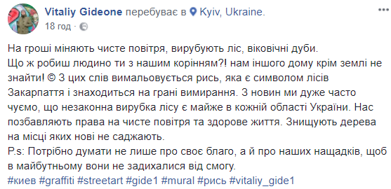 Соцмережі захопилися новим муралом в Києві (фото)