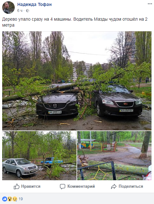 “Водитель чудом отошел”: в Харькове дерево раздавило несколько авто (фото)