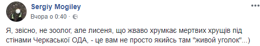 В Черкассах местные жители заметили, как лиса гуляла под стенами ОГА (видео)