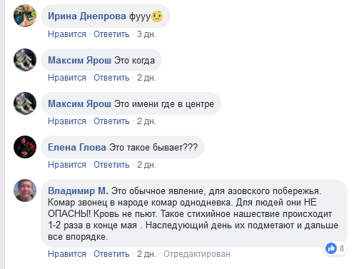&quot;Толстеют на глазах&quot;: жителей Кирилловки атаковали полчища комаров (видео)