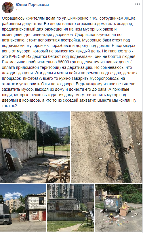 "Нашествие грызунов": в Киеве пожаловались на многочисленных крыс (фото)