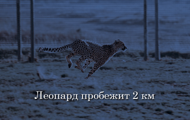 Что происходит в мире за одну минуту