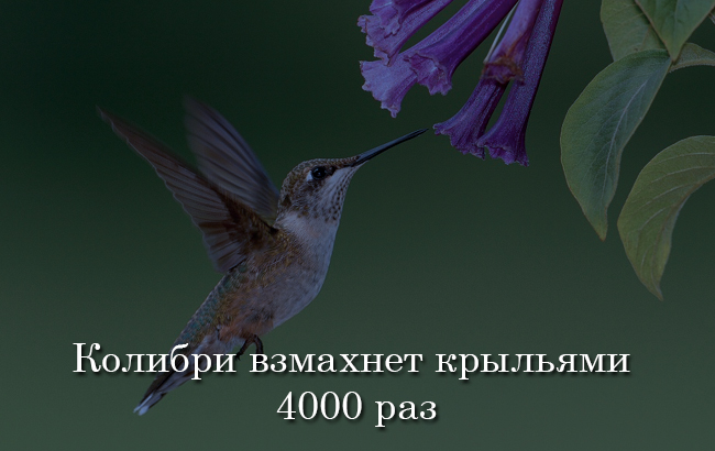 Что происходит в мире за одну минуту