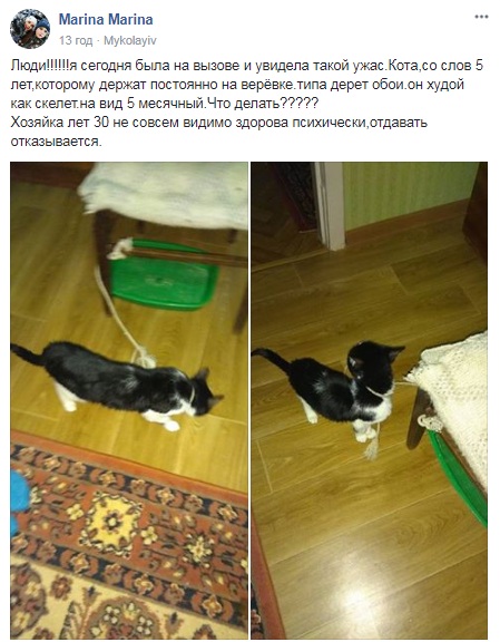 Дере шпалери: в Миколаєві неадекватна господиня тримає кошеня-скелета на мотузці