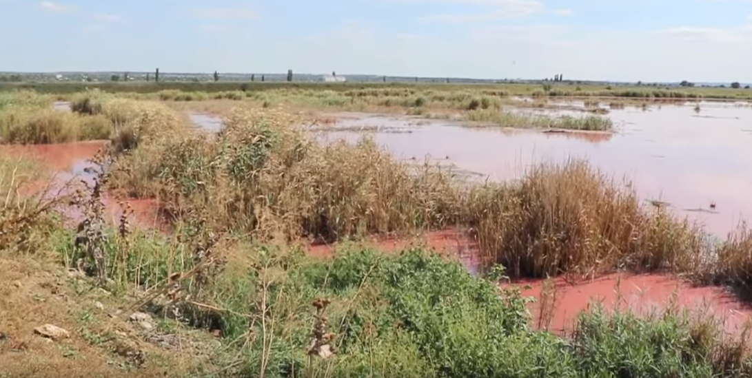 Засорили отходами: река Южный Буг стала красного цвета (видео)