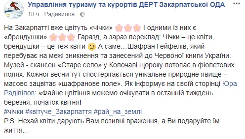 Весна близко: на Закарпатье зацвели крокусы (яркие фото)