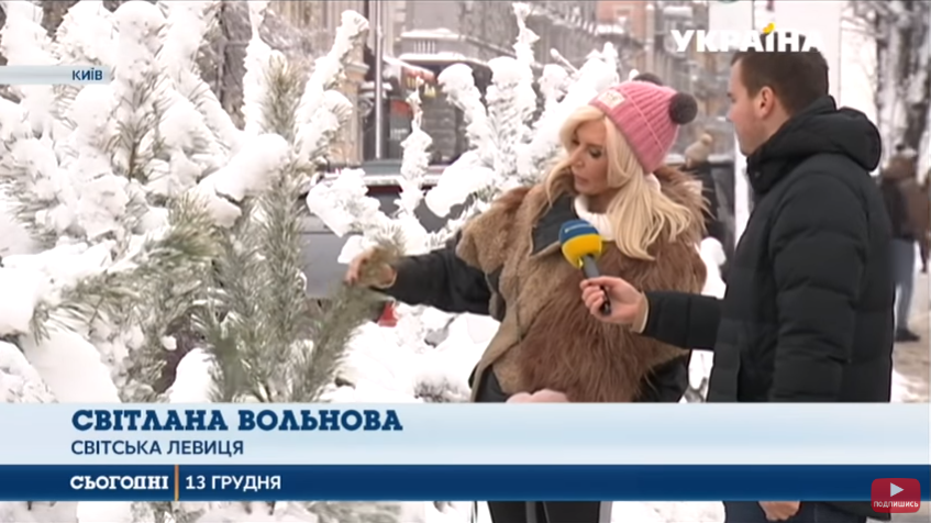 Новый год 2019: как правильно выбрать елку и в какую цену она обойдется