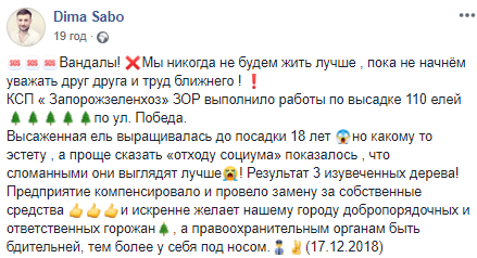 "Зловити і руки переламати": у Запоріжжі хулігани пошкодили висаджені ялинки