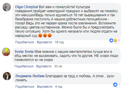 "Зловити і руки переламати": у Запоріжжі хулігани пошкодили висаджені ялинки