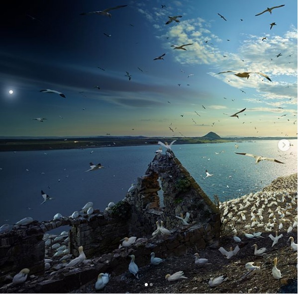 "День змінює ніч": в мережі показали фантастичний знімок острова в Шотландії