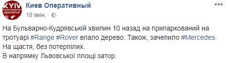 В центре Киева на автомобили упало дерево (фото)