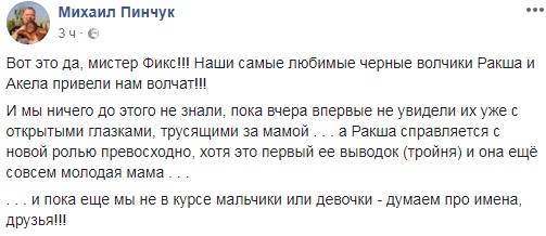 Чудове поповнення: у зоопарку під Києвом народилися нові мешканці