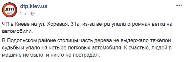 НП у Києві: дерево впало на автомобілі