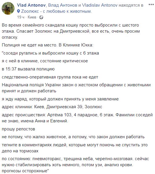 В Киеве из окна многоэтажки выбросили кошку (фото)