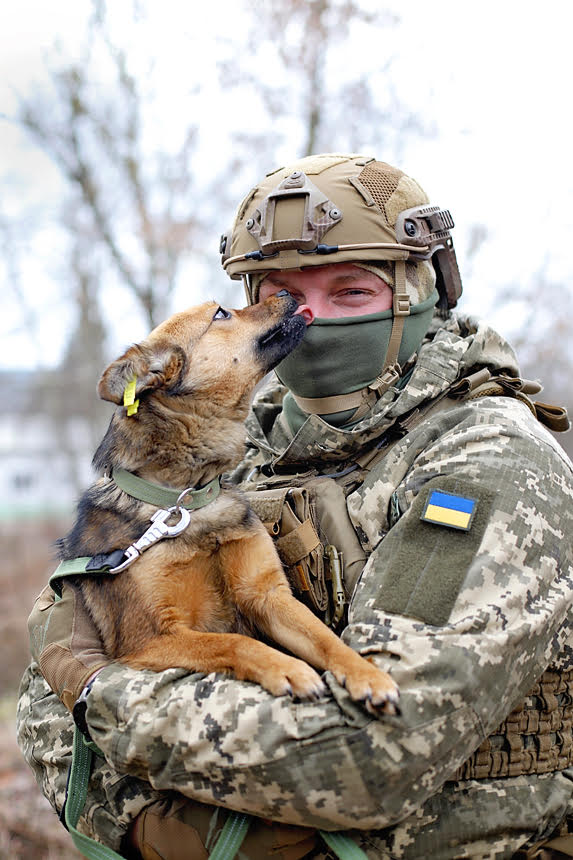 Українські воїни знялися з безпритульними тваринами, щоб допомогти знайти їм родину: милі фото
