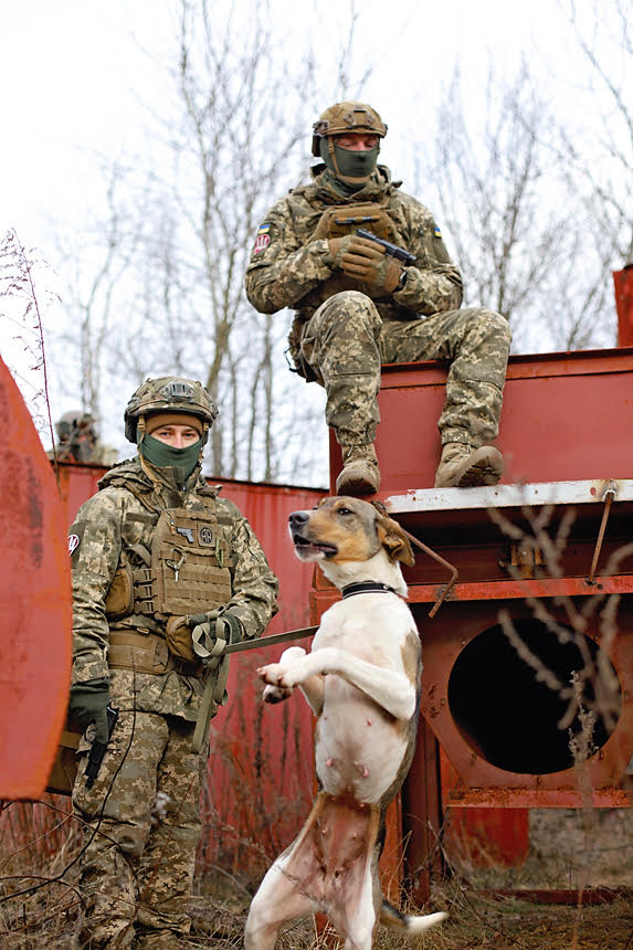 Українські воїни знялися з безпритульними тваринами, щоб допомогти знайти їм родину: милі фото
