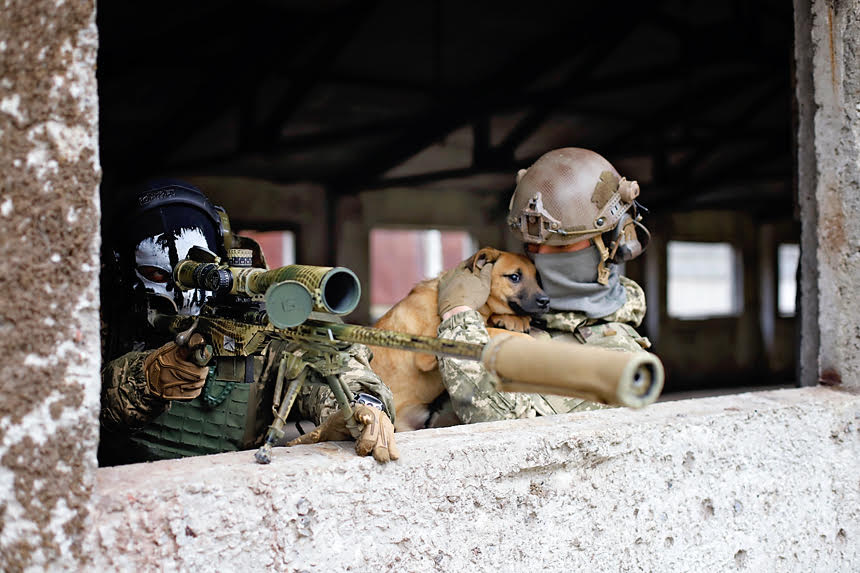 Українські воїни знялися з безпритульними тваринами, щоб допомогти знайти їм родину: милі фото