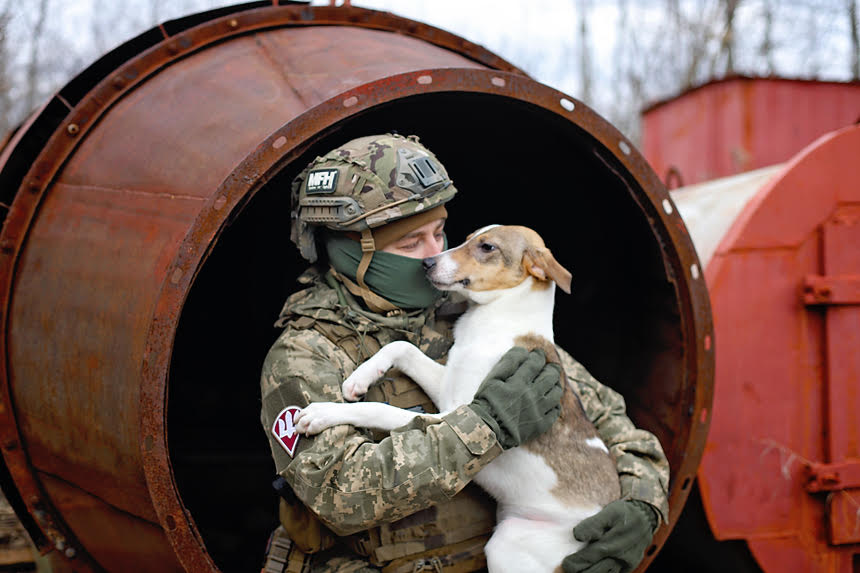Українські воїни знялися з безпритульними тваринами, щоб допомогти знайти їм родину: милі фото