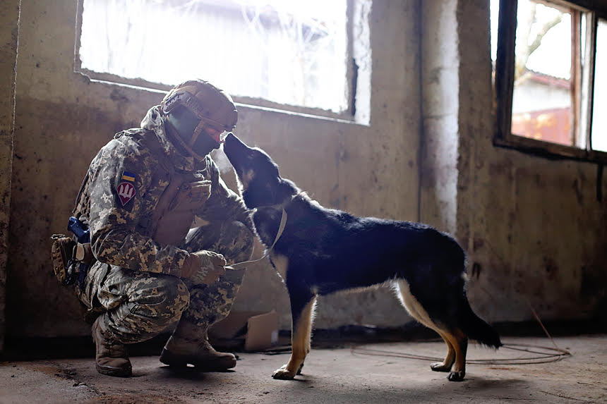 Українські воїни знялися з безпритульними тваринами, щоб допомогти знайти їм родину: милі фото