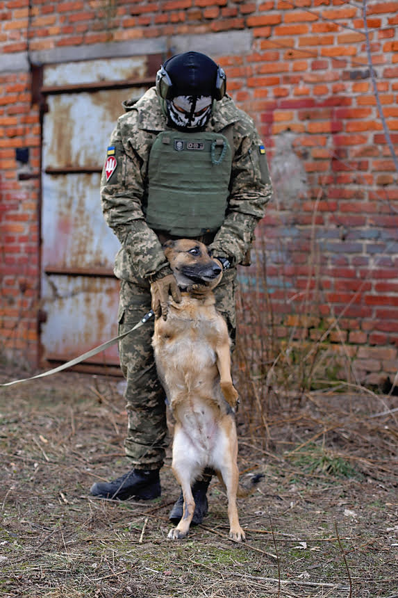 Українські воїни знялися з безпритульними тваринами, щоб допомогти знайти їм родину: милі фото