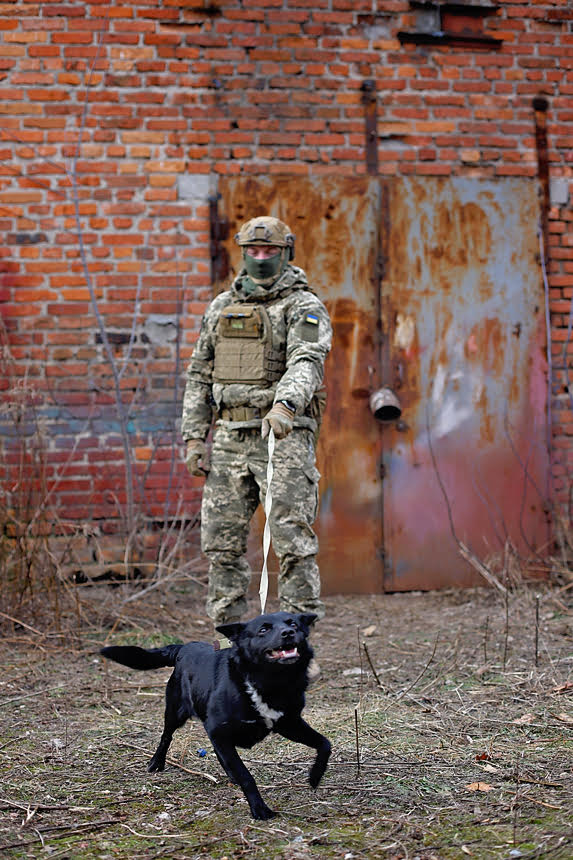 Українські воїни знялися з безпритульними тваринами, щоб допомогти знайти їм родину: милі фото