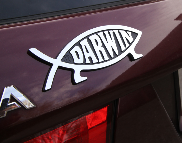 Що означає фігурка рибки на авто? Тримайте відповідь!