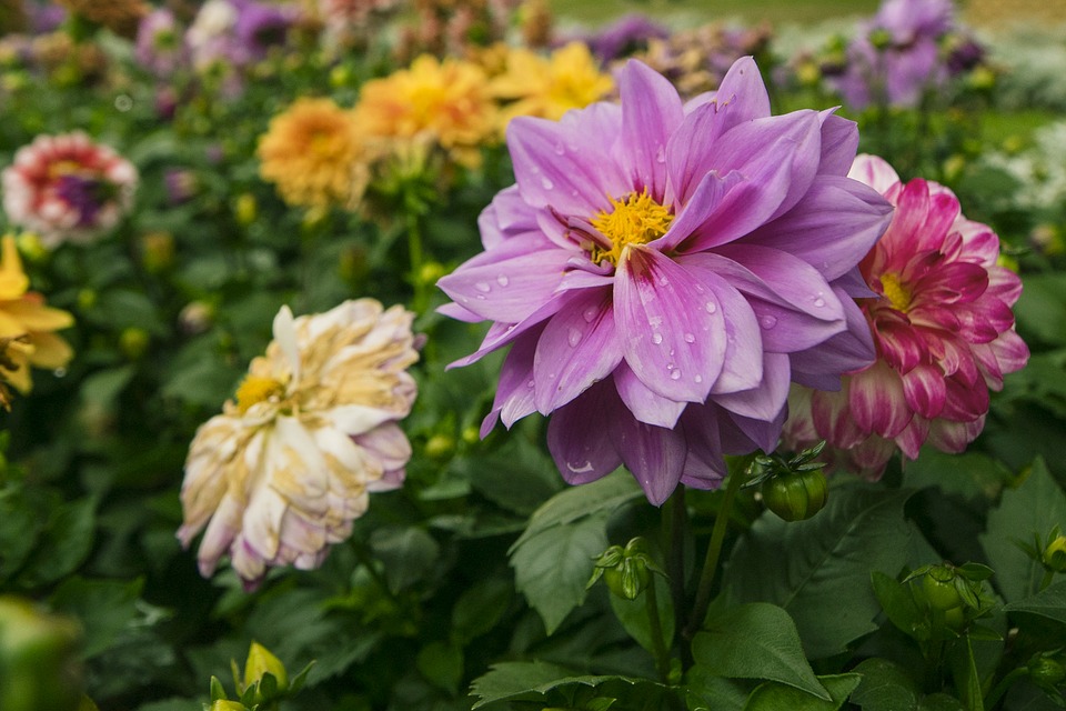Ливни и град: синоптики дали прогноз на выходные