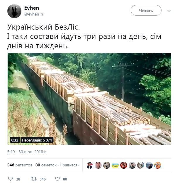 "Безлес": в сети показали, как из Украины эшелонами вывозят лес (видео)