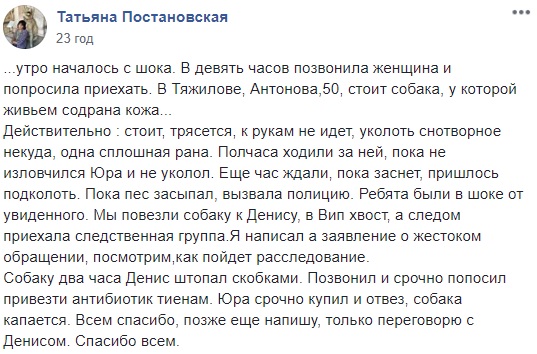 Под Винницей нелюди содрали с живой собаки кожу (фото)