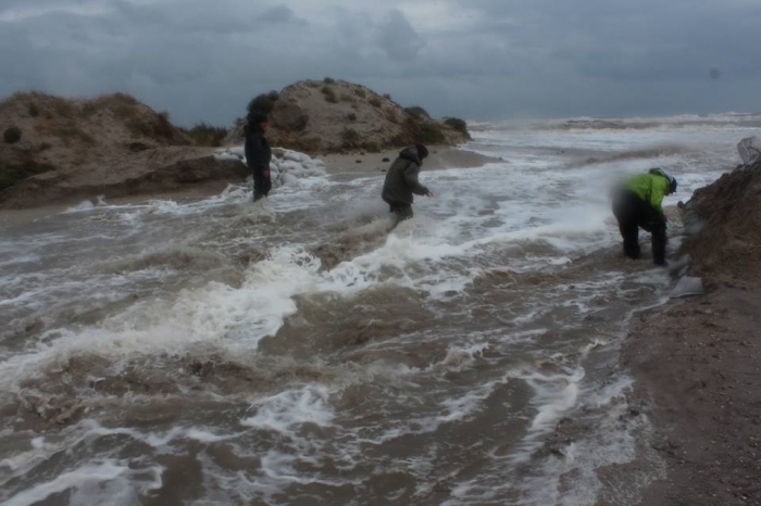 Тузловскі лимани 