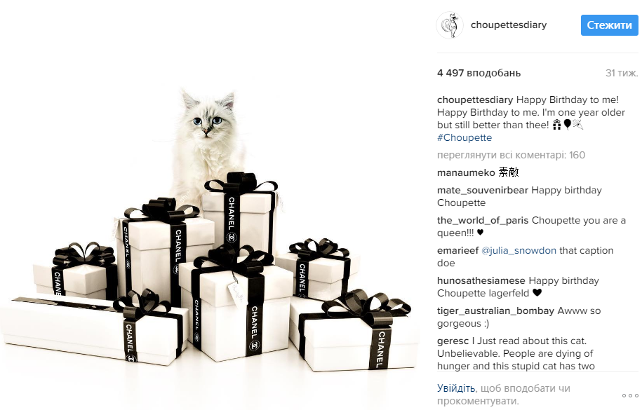 Хакери вкрали акаунт кішки дизайнера Карла Лагерфельда в Instagram