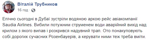 "Эпично": самолет хотели встретить водяной аркой, но что-то пошло не по плану (видео)