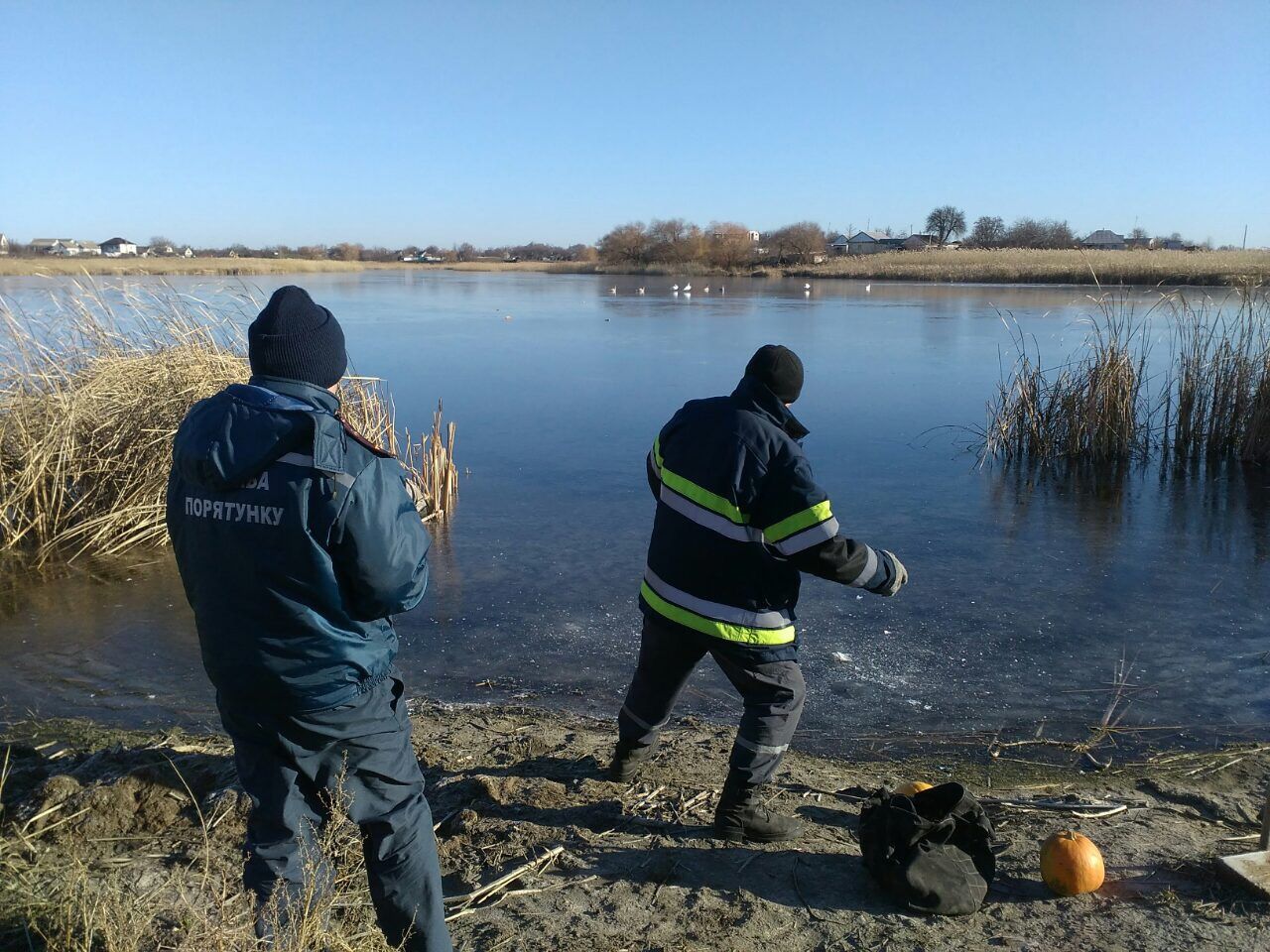 Украинские спасатели спасли белых лебедей от "ледяного капкана"