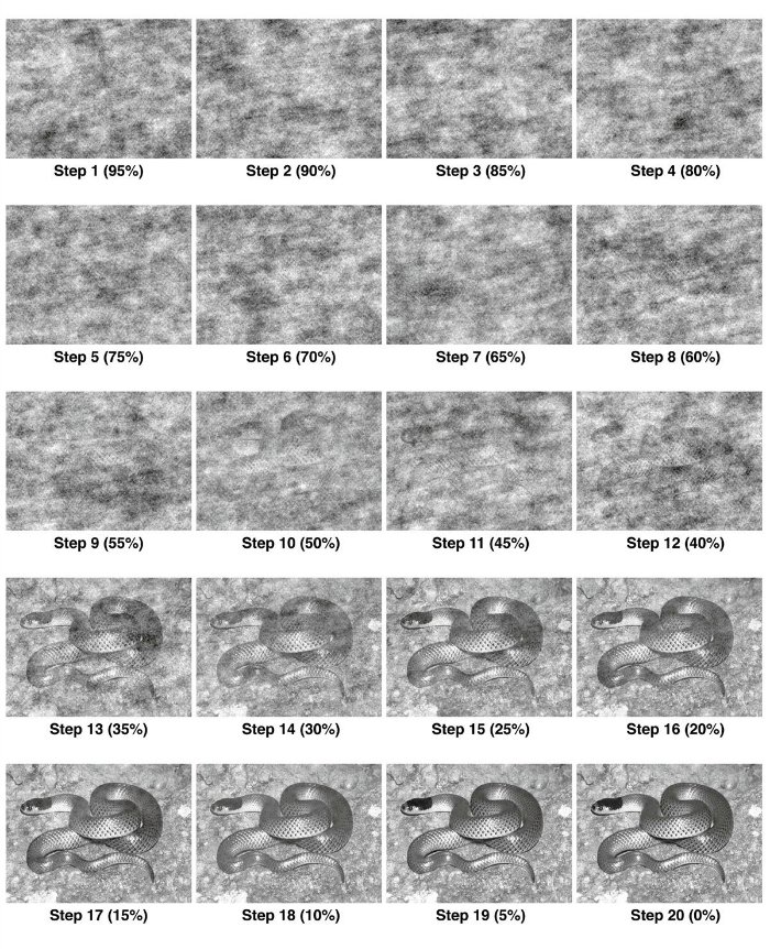 Ученые узнали, что змеи повлияли на развитие зрения людей