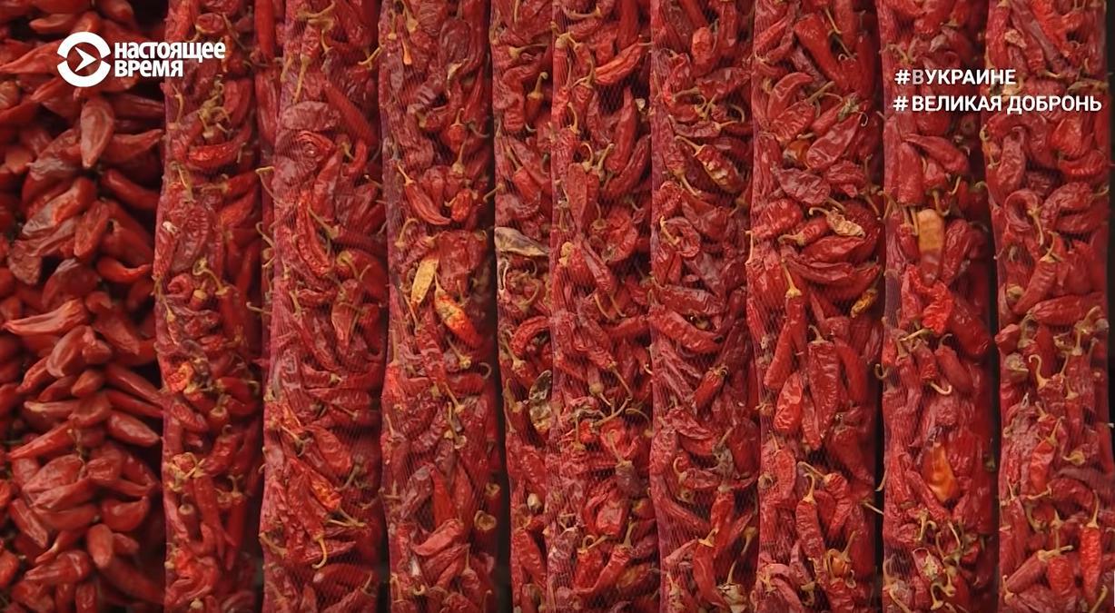 "Венгр - тоже человек": как в Закарпатье живется этническим венграм