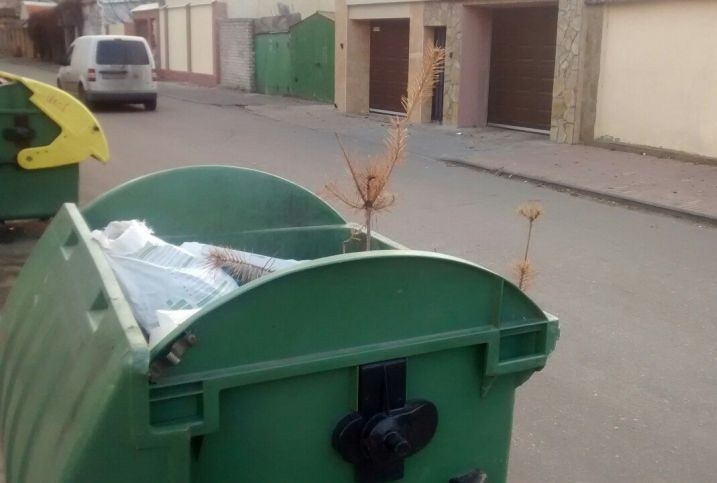 В Одессе за месяц до Нового года выкинули старую елку