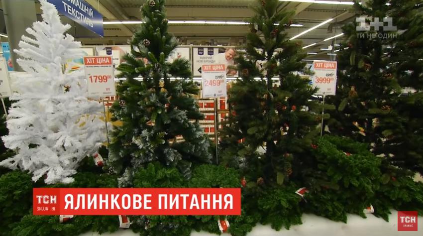 Искусственная или живая: какую елку выбрать на Новый год 2019