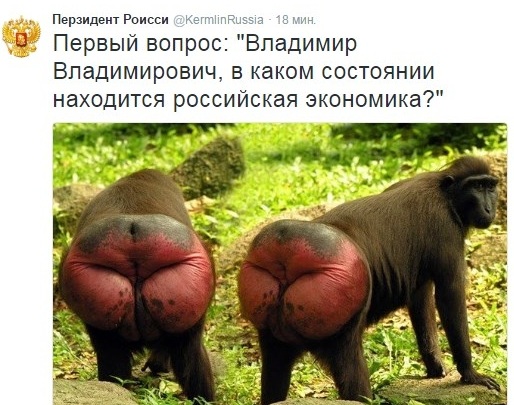 В соцсетях троллят пресс-конференцию Путина