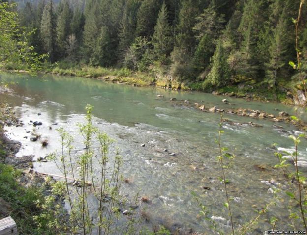 В США виставили на продаж ціле місто