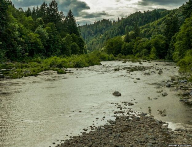 В США виставили на продаж ціле місто