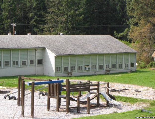 В США виставили на продаж ціле місто