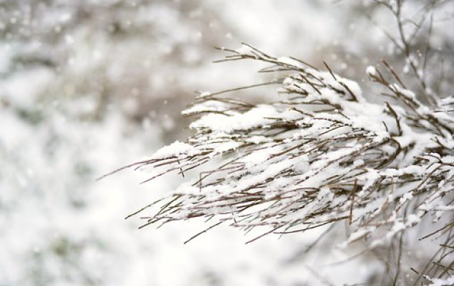 Украину накроют 30-градусные морозы: синоптик назвал даты