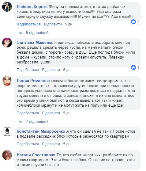 Мамы против кошатниц: в сети скандал из-за ОСМД (видео)