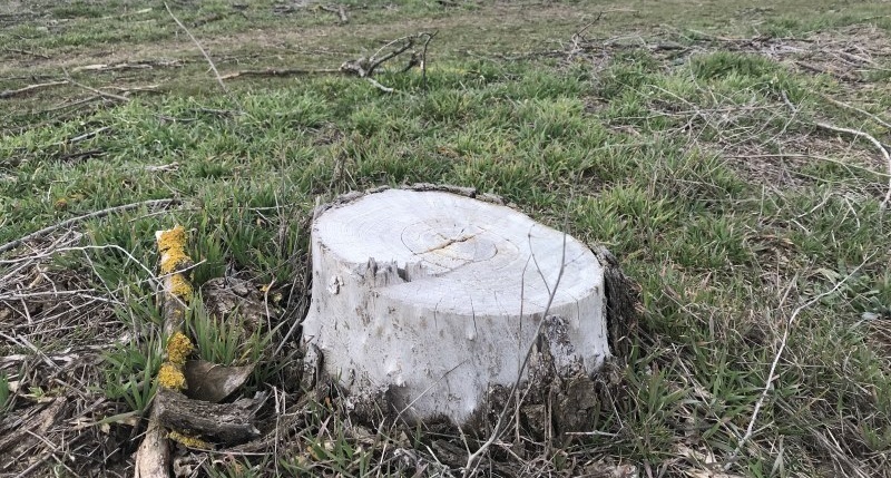 Очередная катастрофа в Крыму: жители забили тревогу