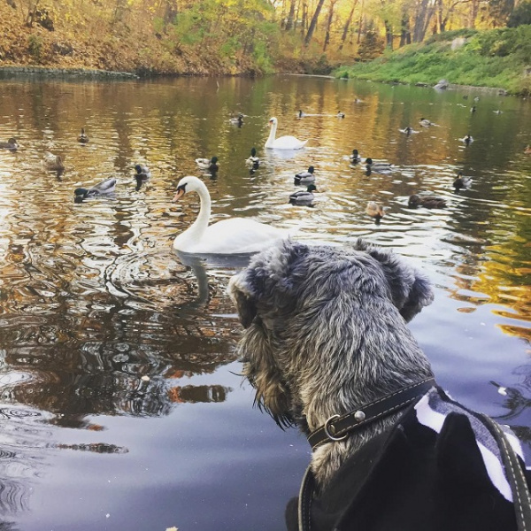 Де відпочити в Україні у листопаді: топ-5 ідей для осінньої подорожі
