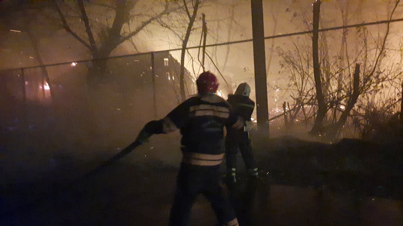 В Луганской области горят леса: фото чудовищной беды