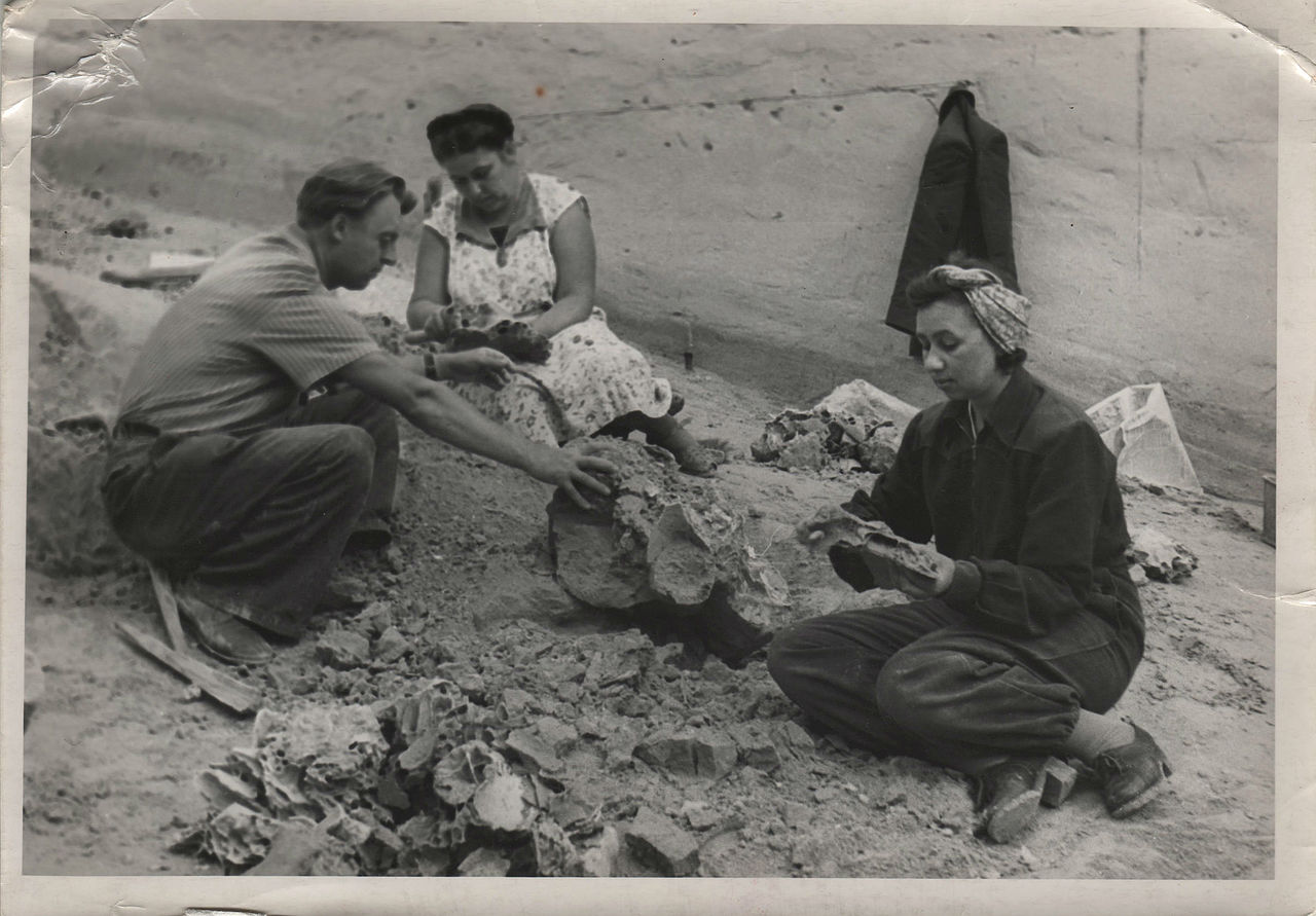 Археологи Шовкопляс: Иван Гаврилович и Анна Михайловна (рядом) на раскопках